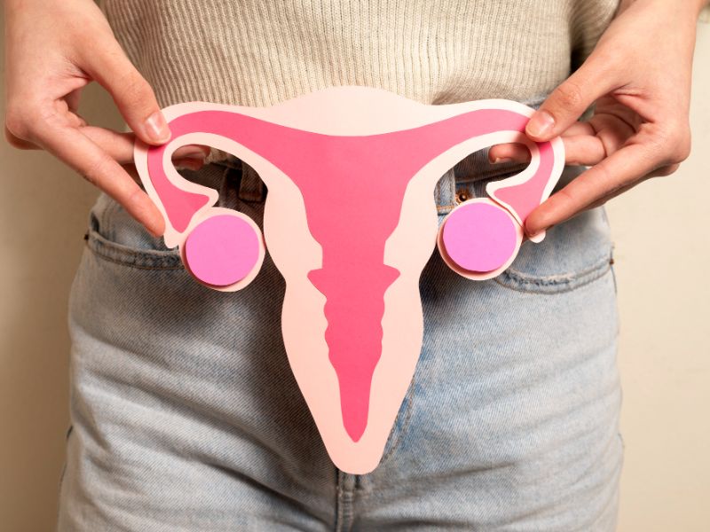 front view woman holding reproductive system 1